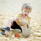 6Pcs/Set Silicone Beach Sensory Bucket Toy Animal Model