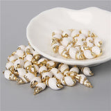 10PCS Natural White Shell Charms Tiny Conch Cowrie