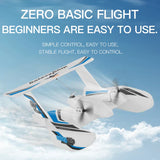 2.4G RC Plane Radio Remote Control Airplane RC